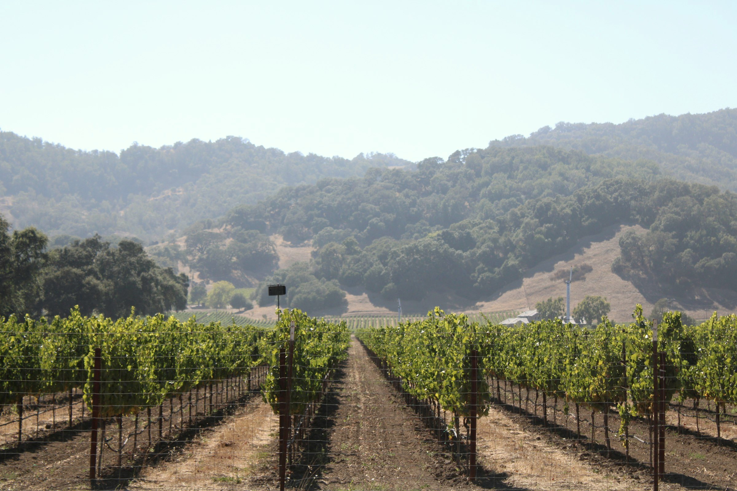 Napa valley